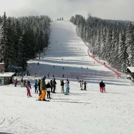 Edelweiss Mountain - Stream & Pool, Apartment Pamporovo